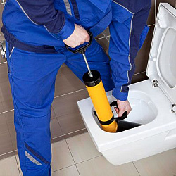 Вантуз сантехнический Rems Pull-Push